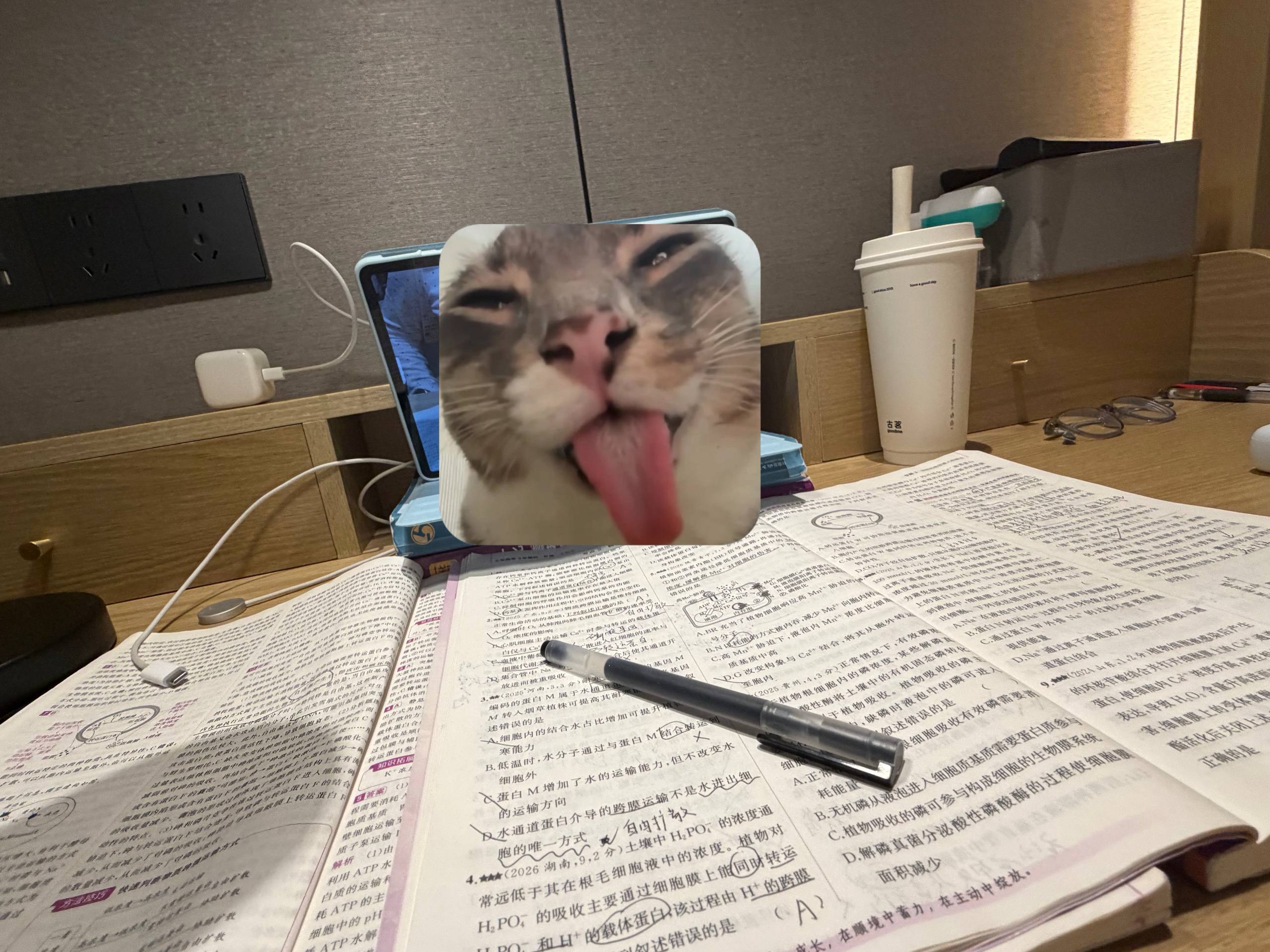 『西安狼友出击之路』 配图