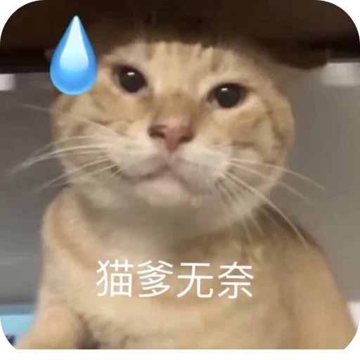 好自为之吧 配图