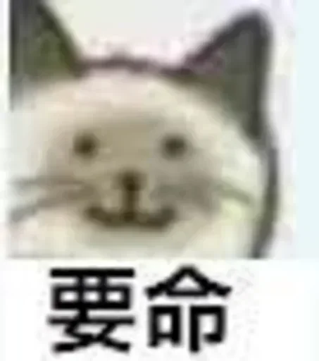 正规群 _(:3 」∠)_ 配图