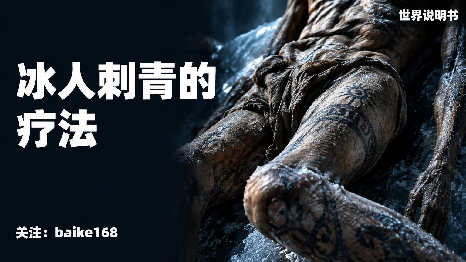 世界说明书|百科知识库 配图
