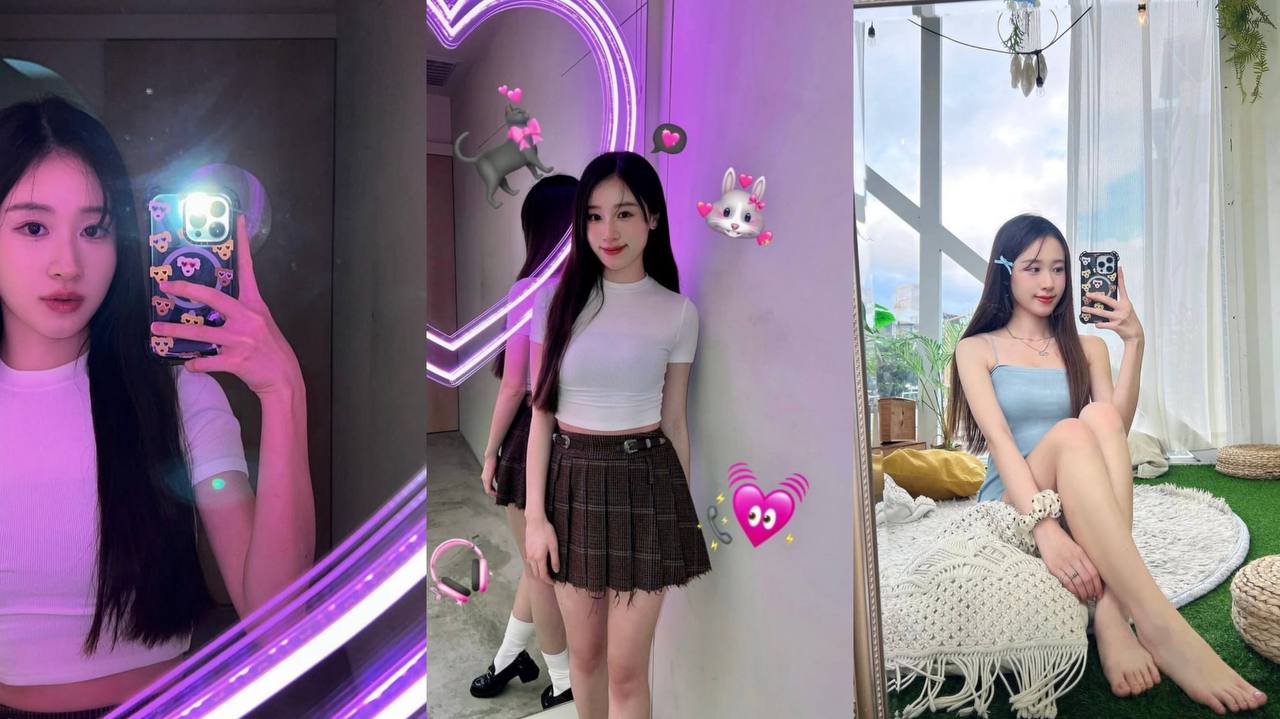 深圳花荟群 配图