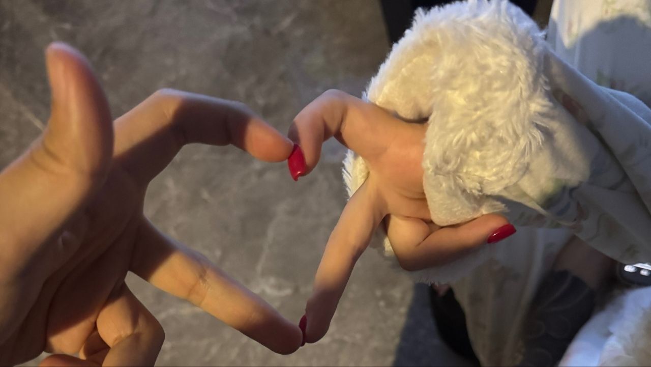 小9儿baby💭在杭州 配图