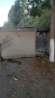 吃瓜群众12316猎奇新闻视频 配图