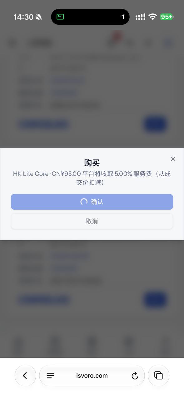 Isvoro交流群「有问题工单」 配图