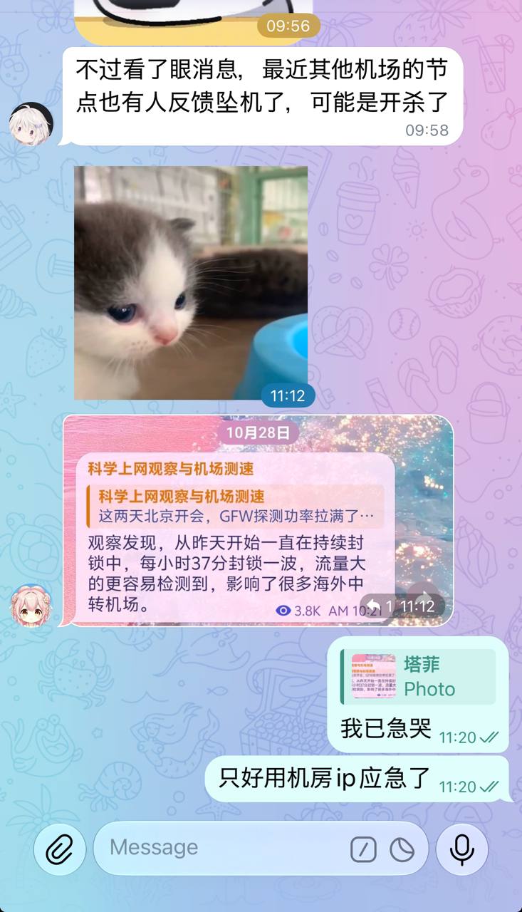 在花小茶馆🍵 配图