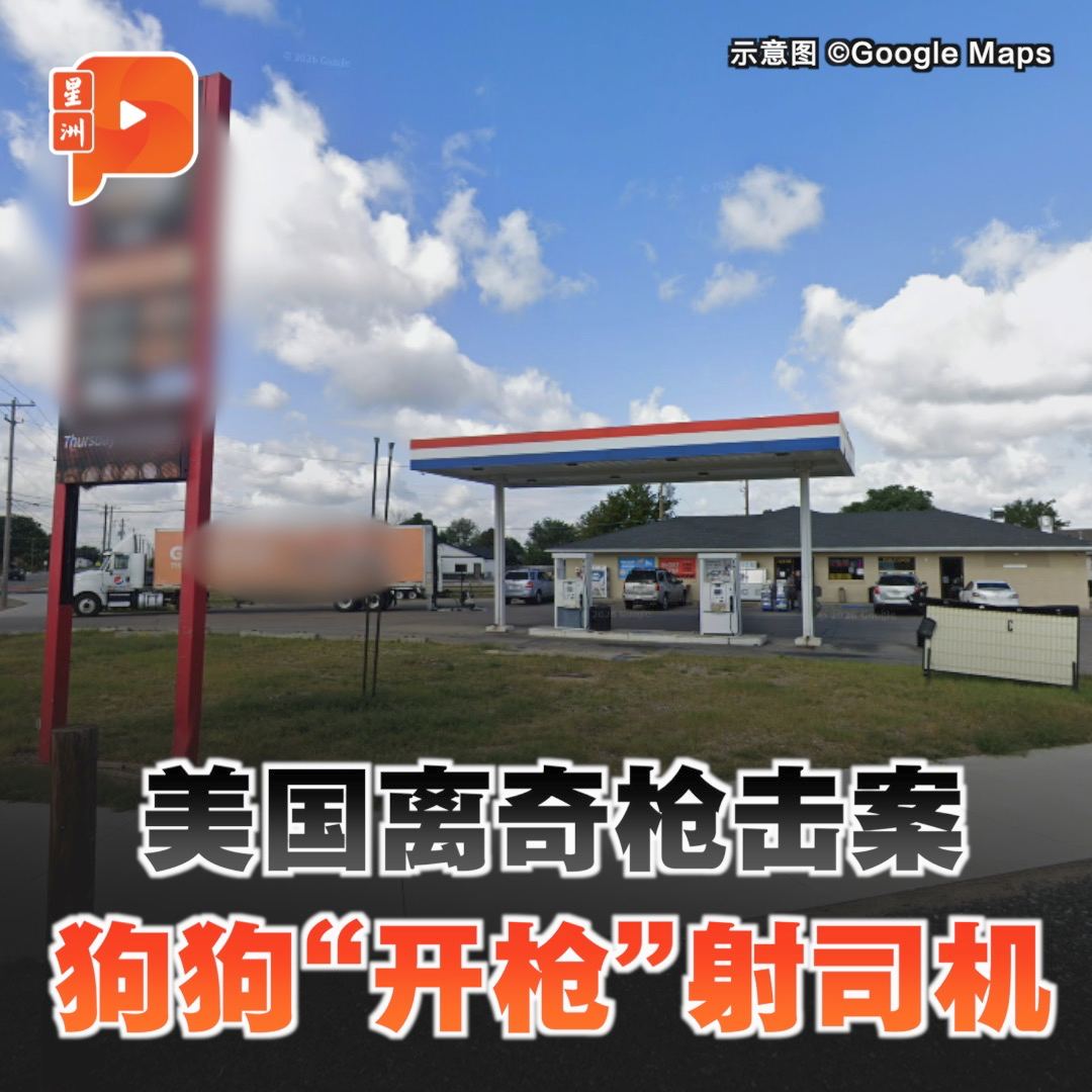 百格Pocketimes 配图
