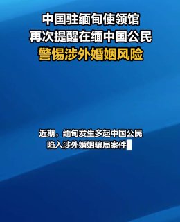 dnydh 配图