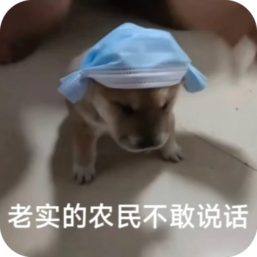 『西安狼友出击之路』 配图