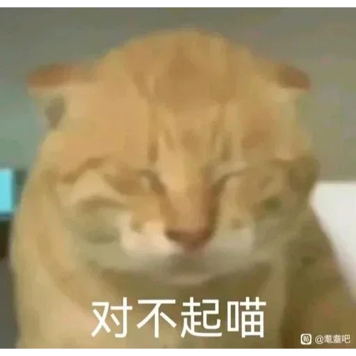 东南亚华人交流群 配图