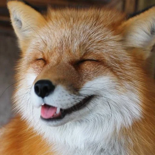 聊与追尾游戏热点 配图
