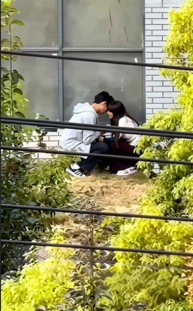 女大学生的约炮日记 配图