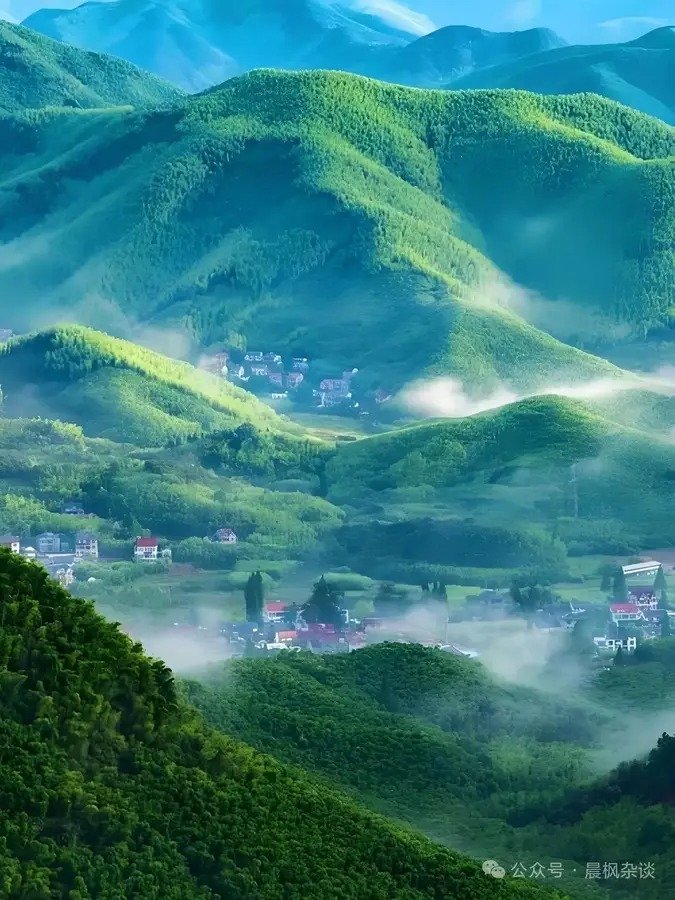 fine 配图