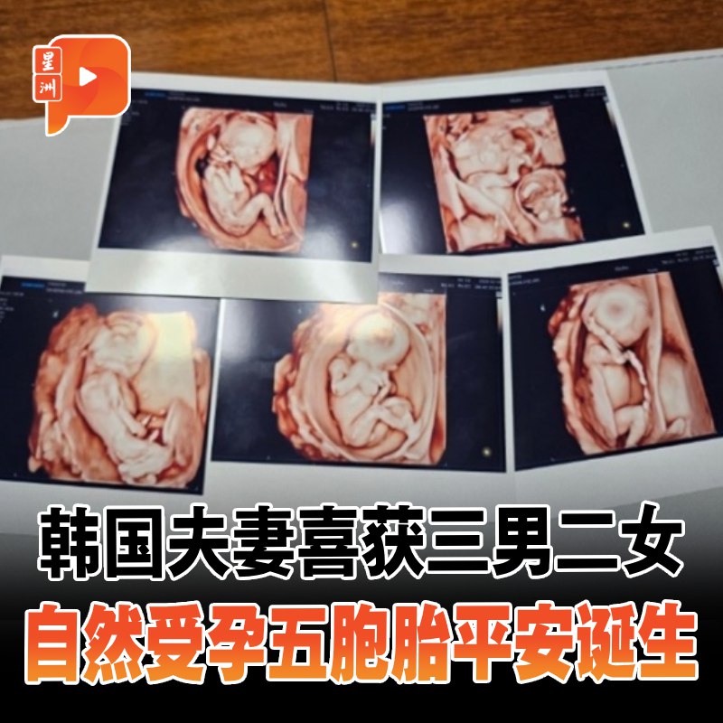百格Pocketimes 配图