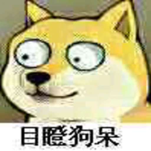 杭州•鱼塘霸主 配图