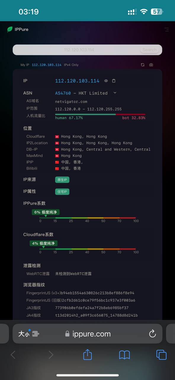 Kitty Network 配图
