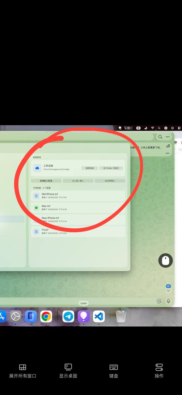 Loon-0x00 配图
