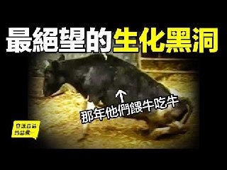 4K动漫全系列|追漫 配图