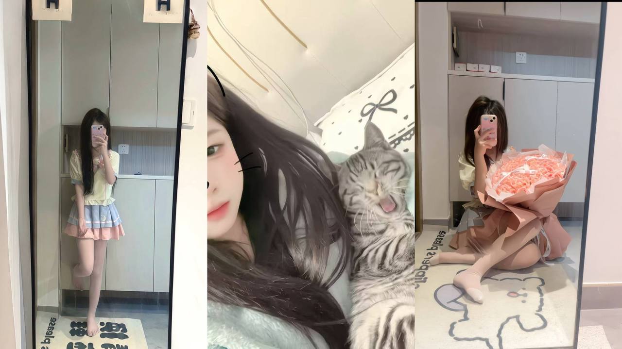 深圳花荟群 配图