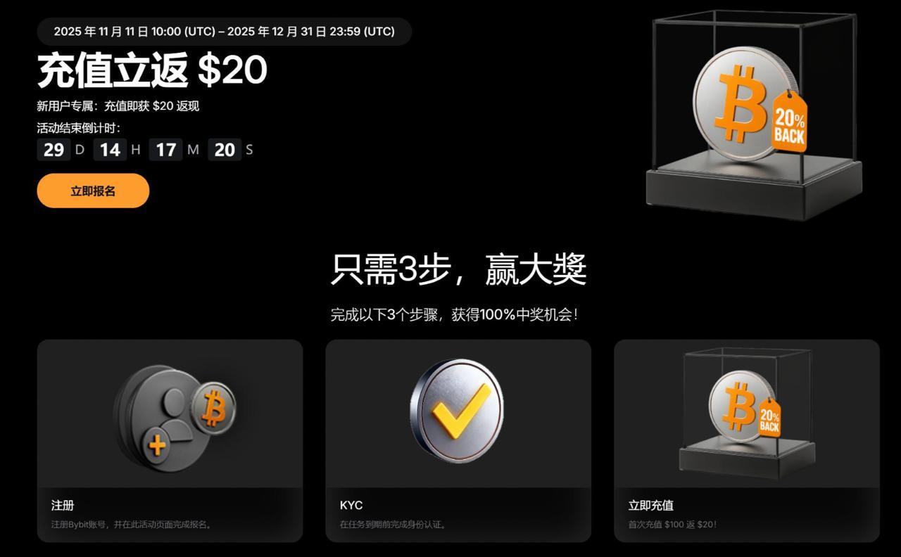 APPDO 数字生活指南 配图