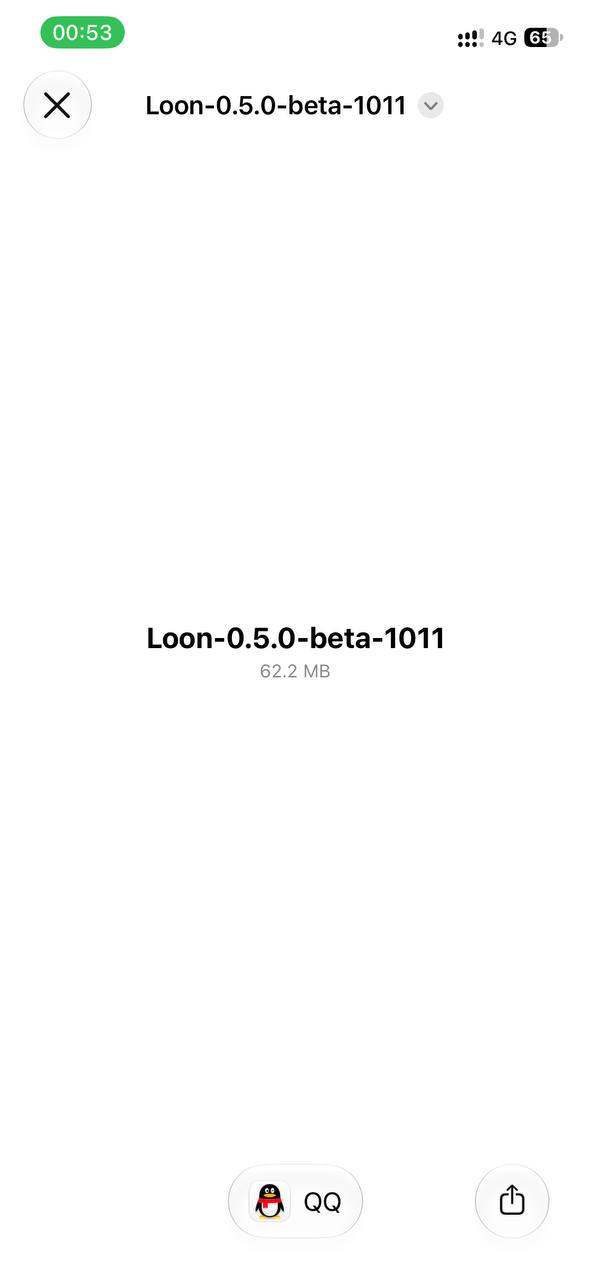 Loon-0x00 配图