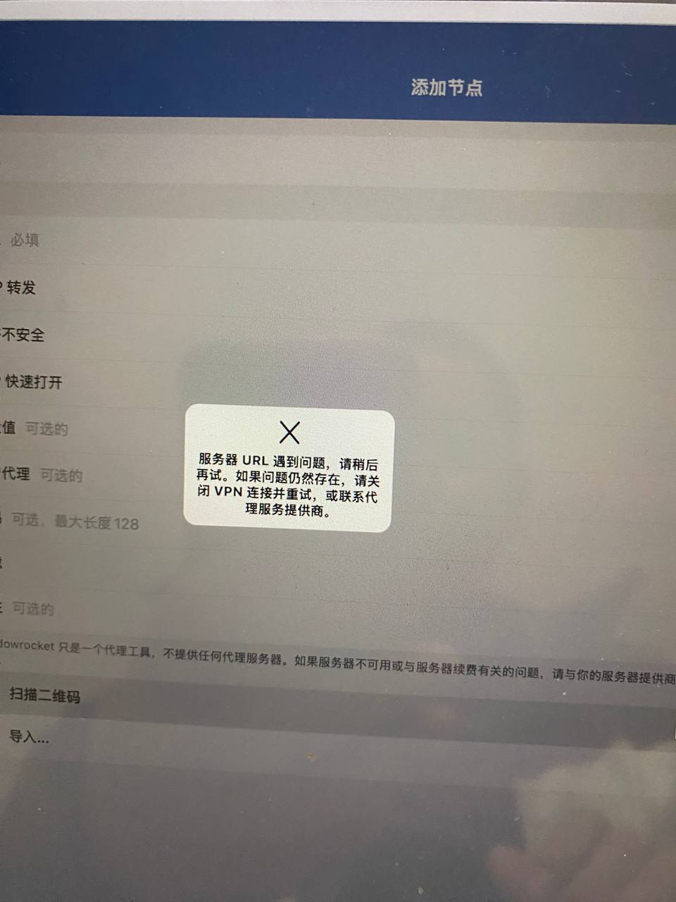 Kitty Network 配图