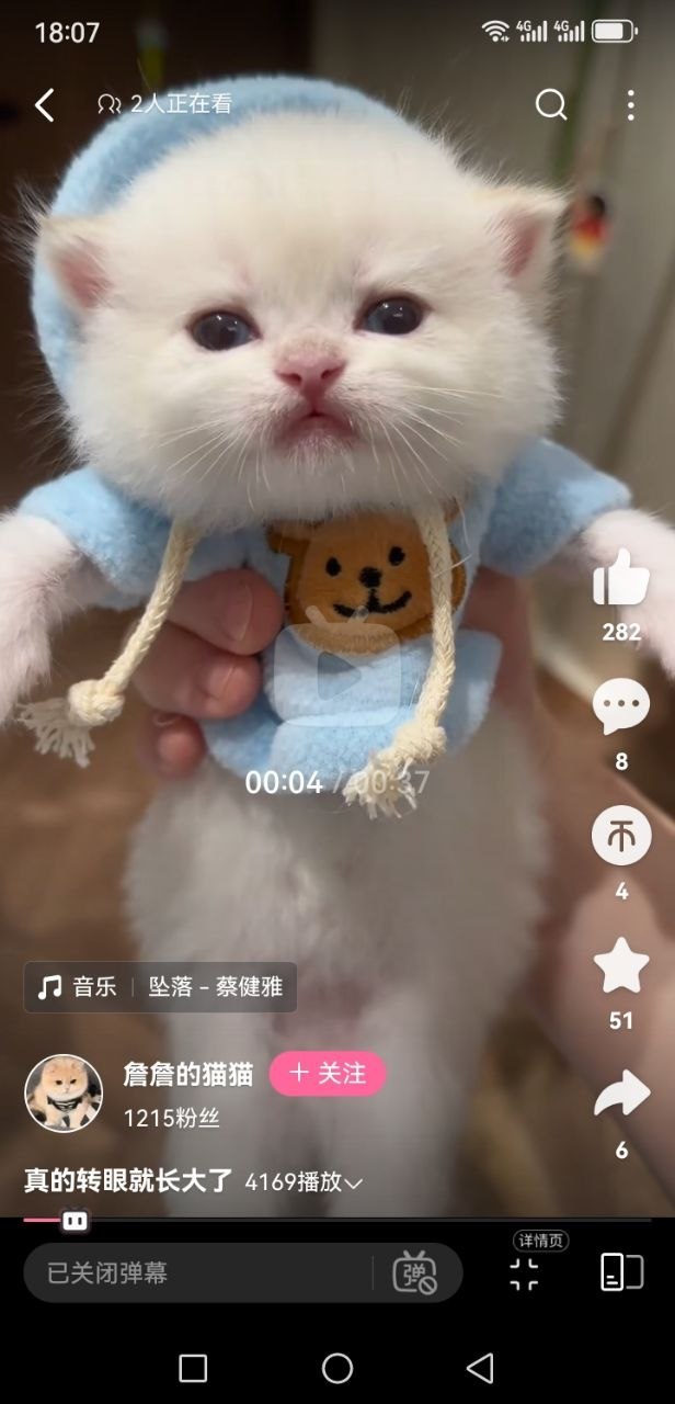 绿茶VPN-永久免费VPN 配图