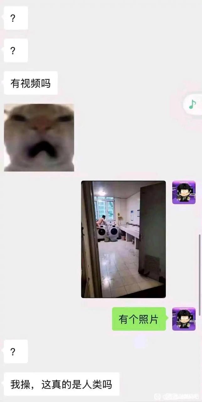 今天你想跑路了吗？？ 配图