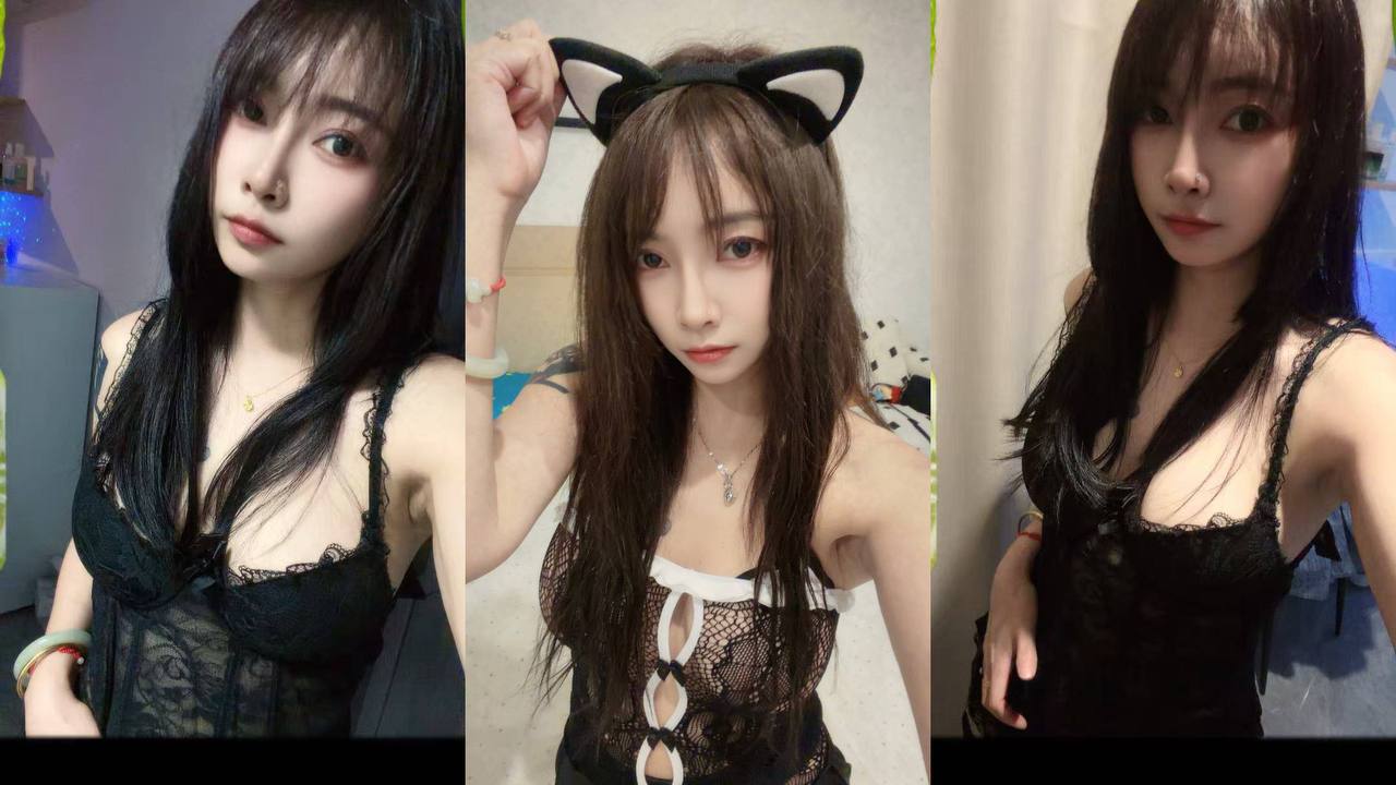 深圳花荟群 配图