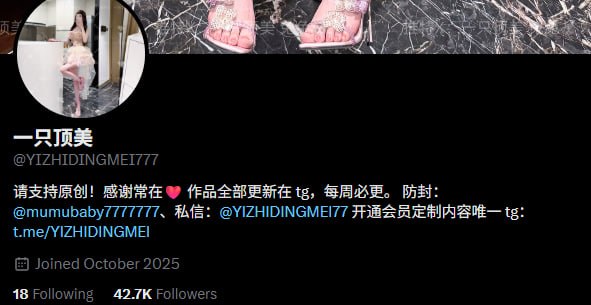『冈本桑』推特博主目录丨关注防丢失 配图