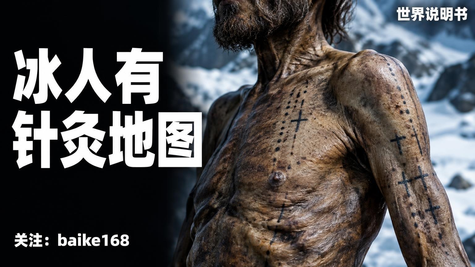 世界说明书|百科知识库 配图