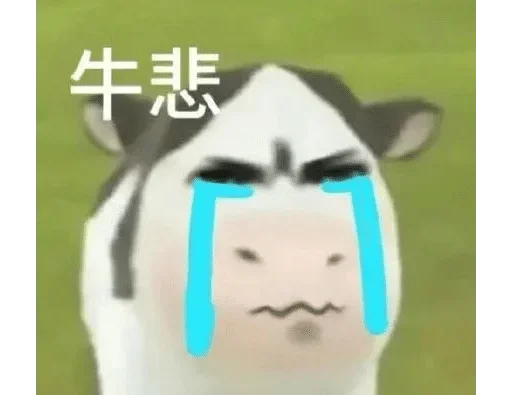 『西安狼友出击之路』 配图