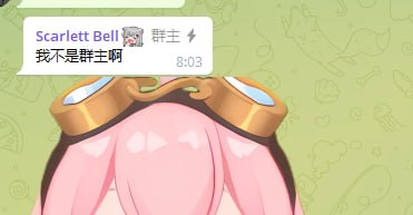 Kitty Network 配图