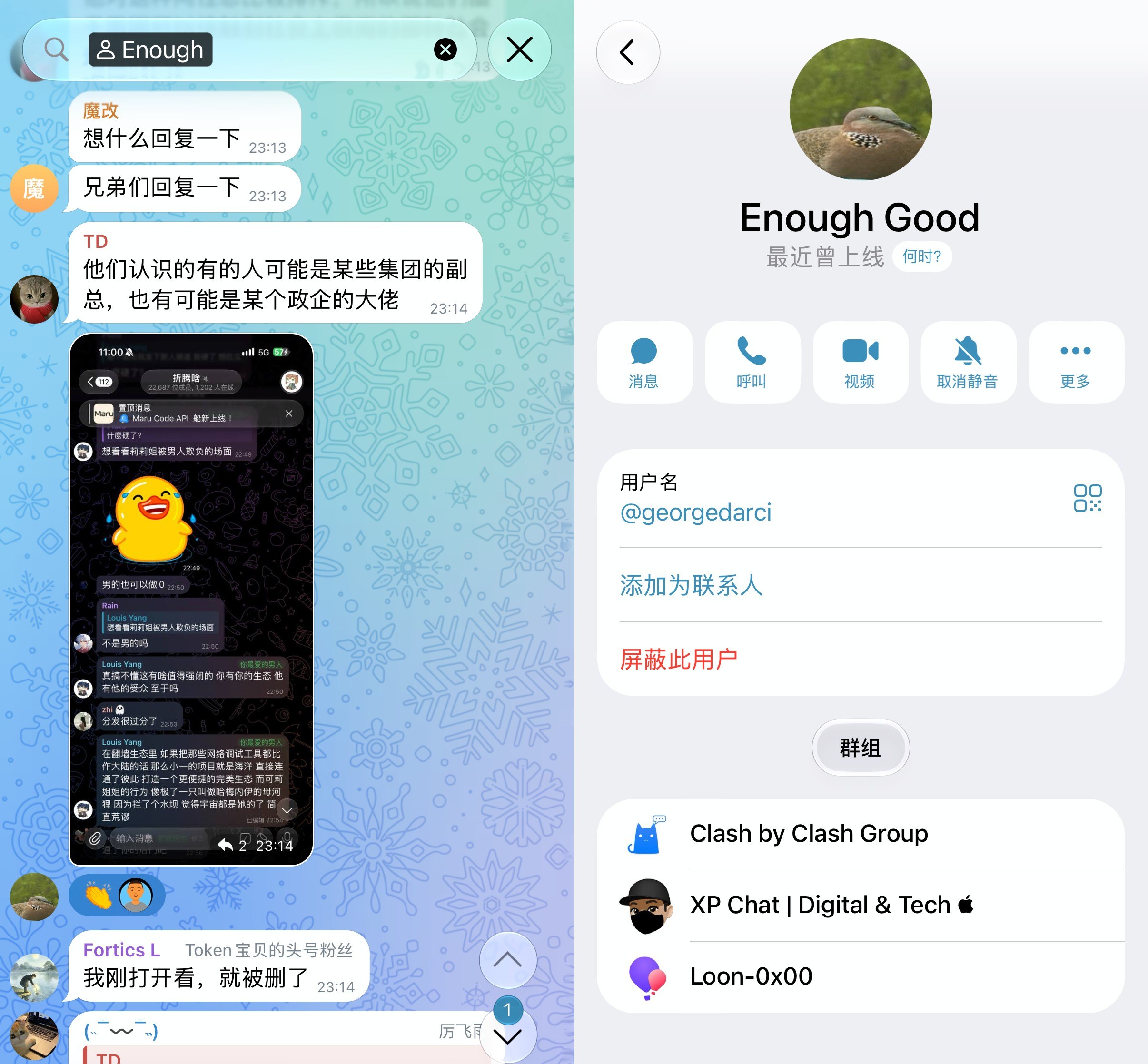 Loon-0x00 配图