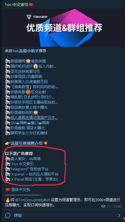 速搜官方频道-TON中文索引🇨🇳 配图