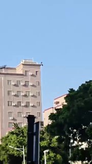 吃瓜群众12316猎奇新闻视频 配图