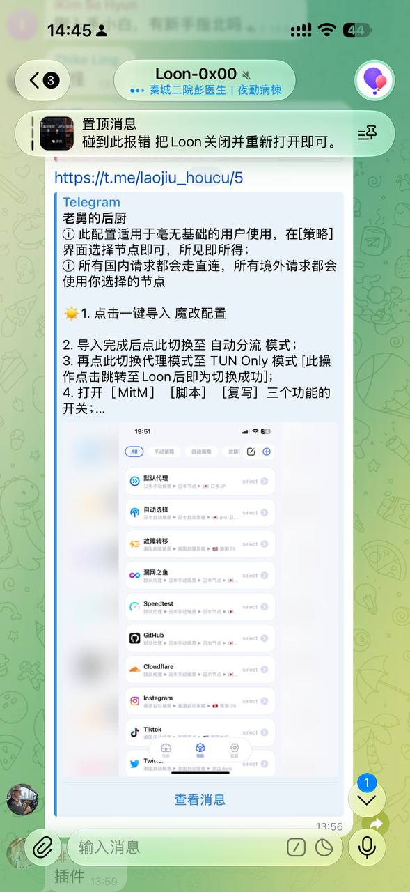 Loon-0x00 配图