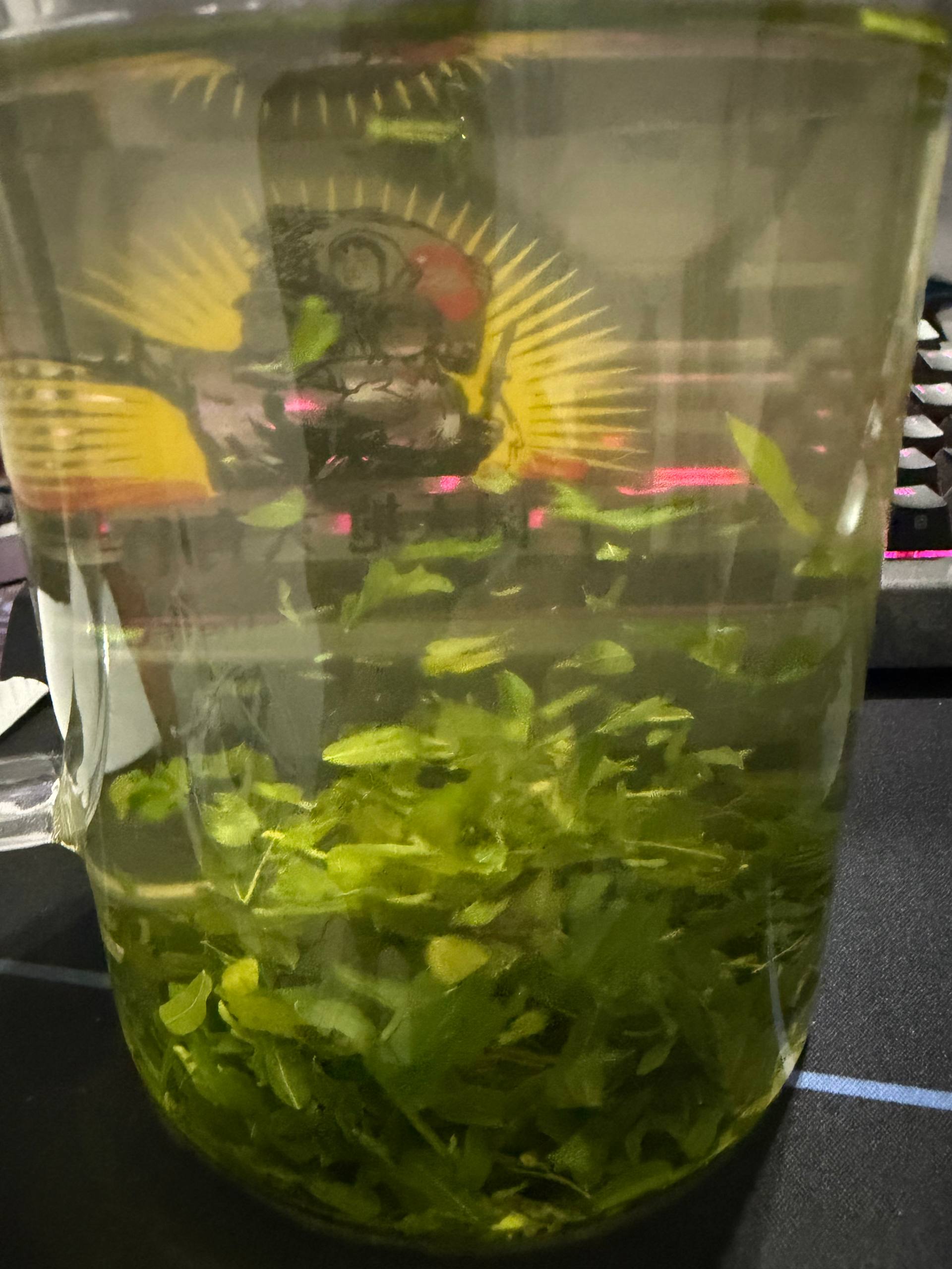 不正经机场推荐✈️~😅 配图