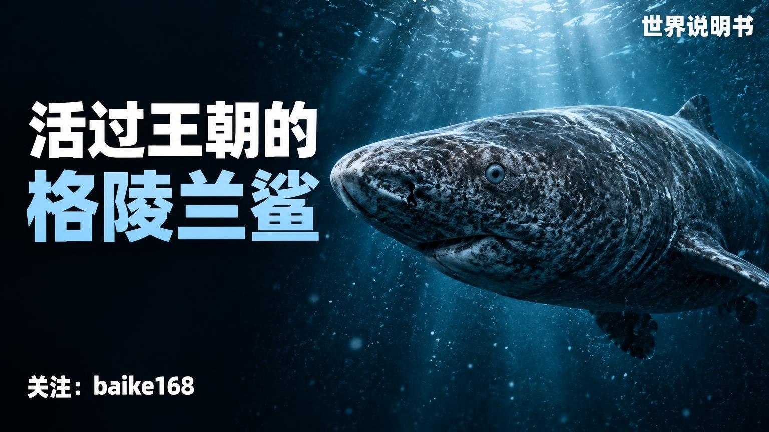 世界说明书|百科知识库 配图