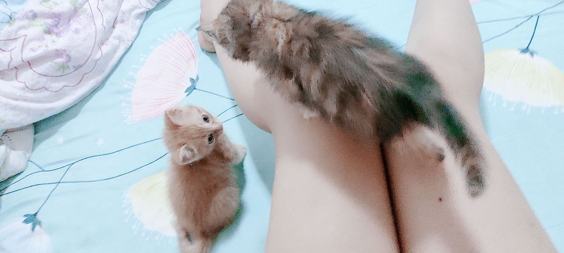 猫猫的内内奈奈浏览群 配图