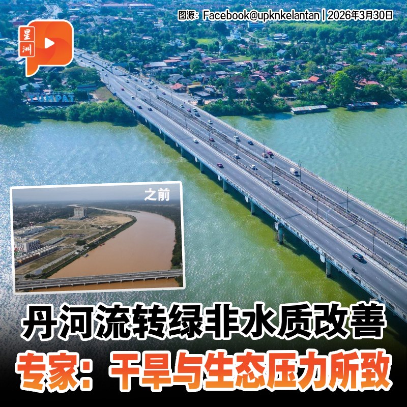 百格Pocketimes 配图