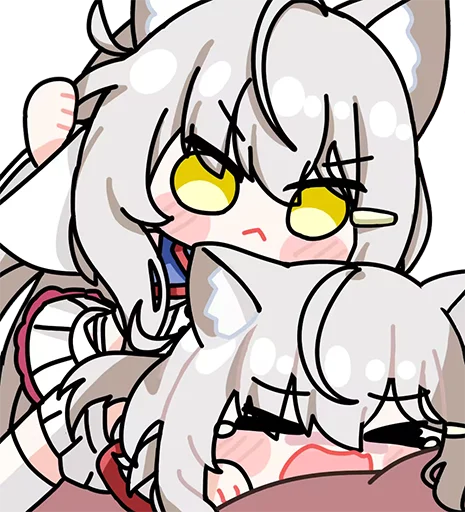Kitty Network 配图