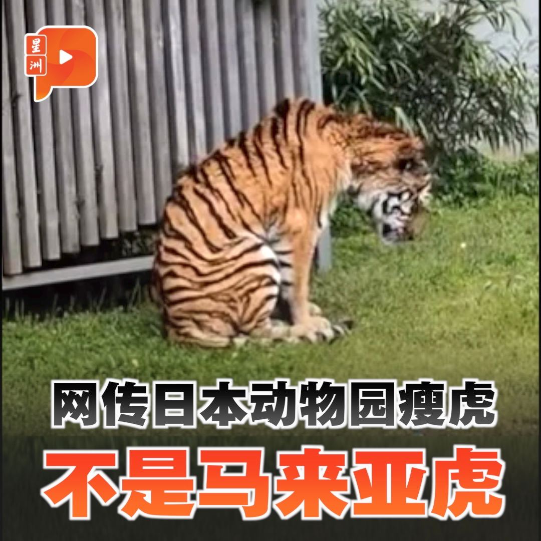 百格Pocketimes 配图