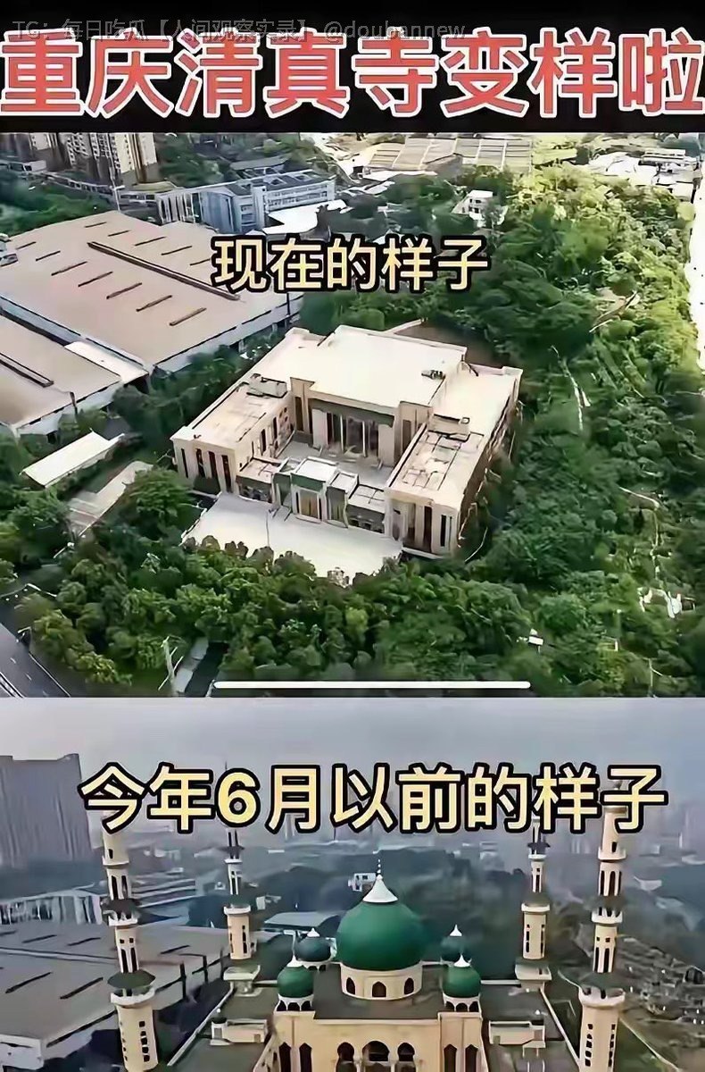 🍉 每日吃瓜【人间观察实录】 配图