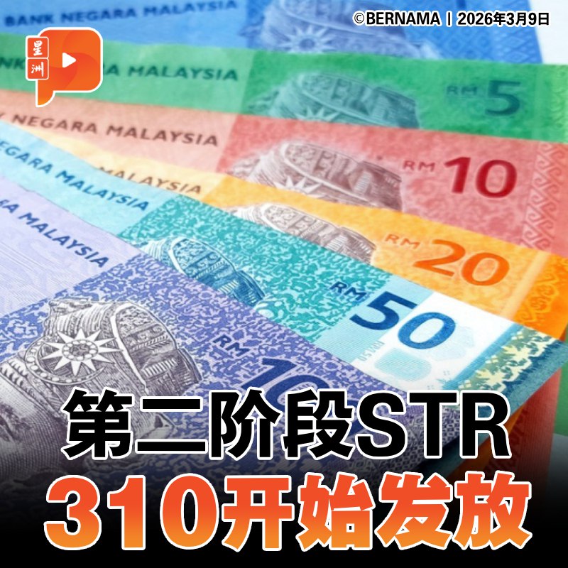 百格Pocketimes 配图