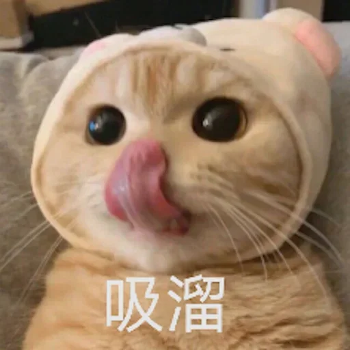 叶子 🍃 配图