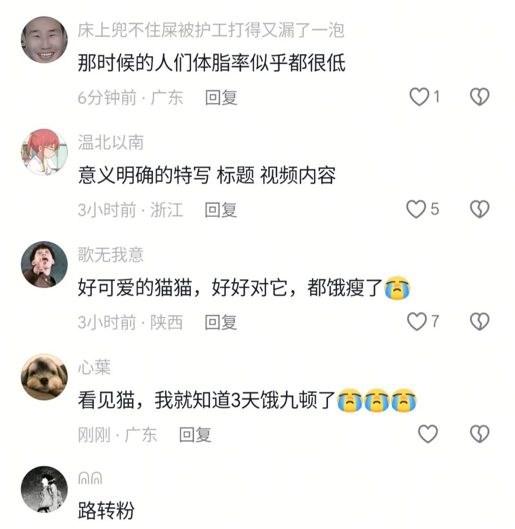 今天你想跑路了吗？？ 配图