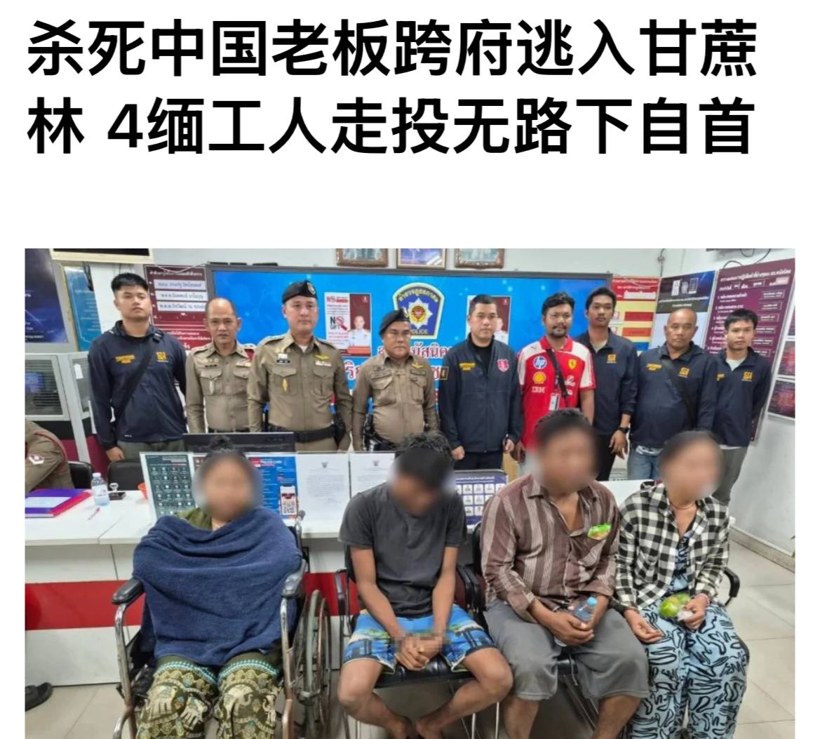 东南亚大事件|曝光|新闻时报 配图