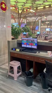 世俱杯--体育电竞--欧洲杯--pg电子游戏 配图