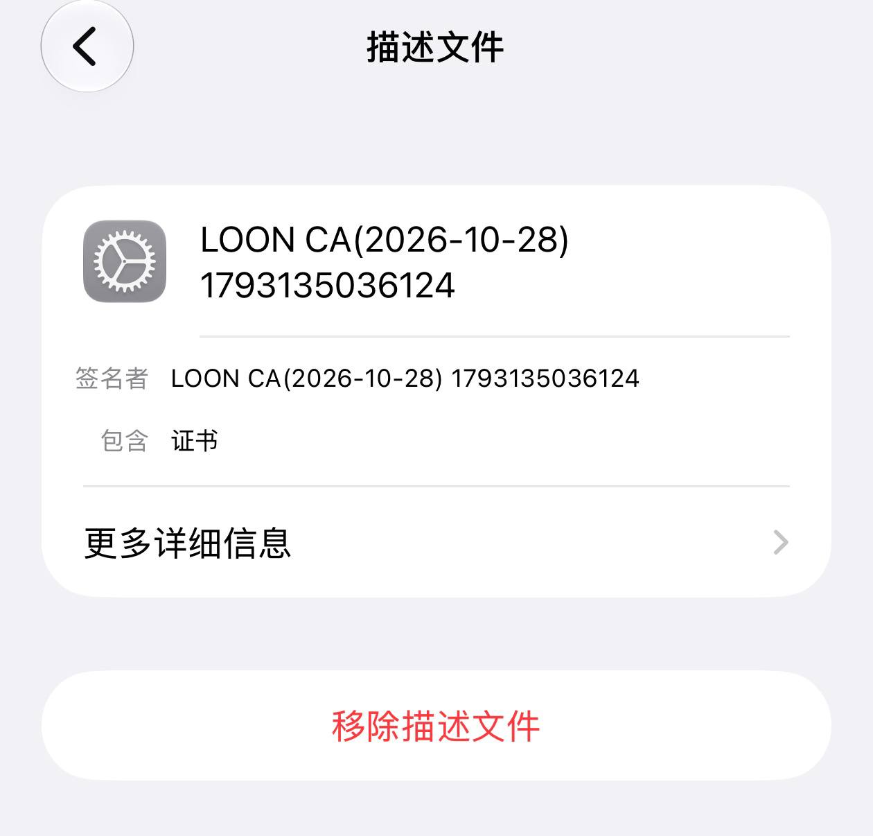 Loon-0x00 配图