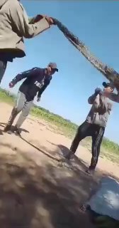 吃瓜中心 配图
